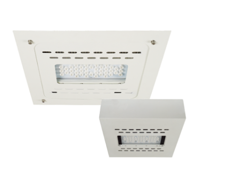 Proiettore a led seria CA 80W